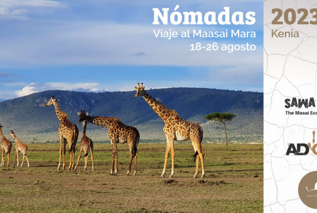 Web-slide-Maara